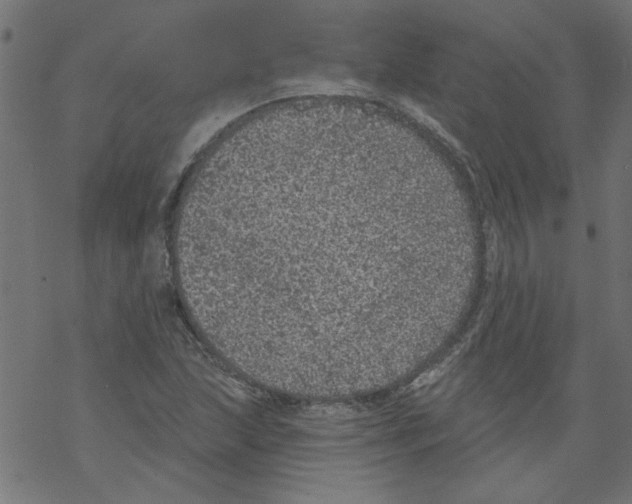 X0000067901215200605111908