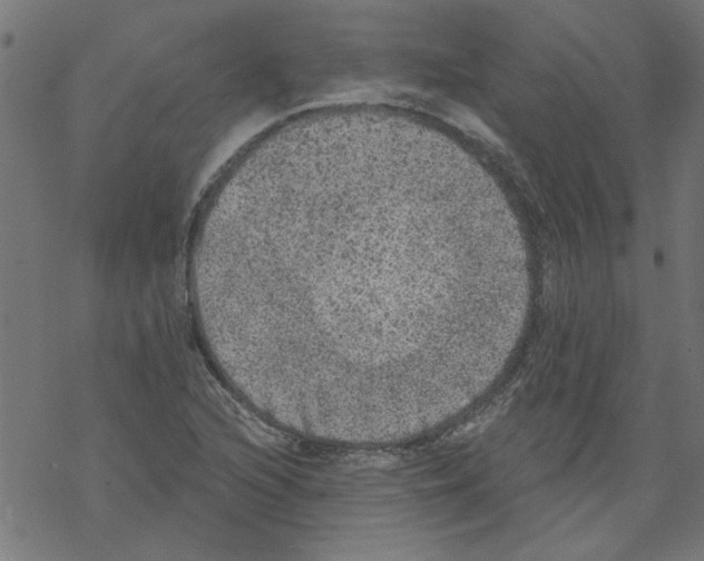 X0000067901216200605111908