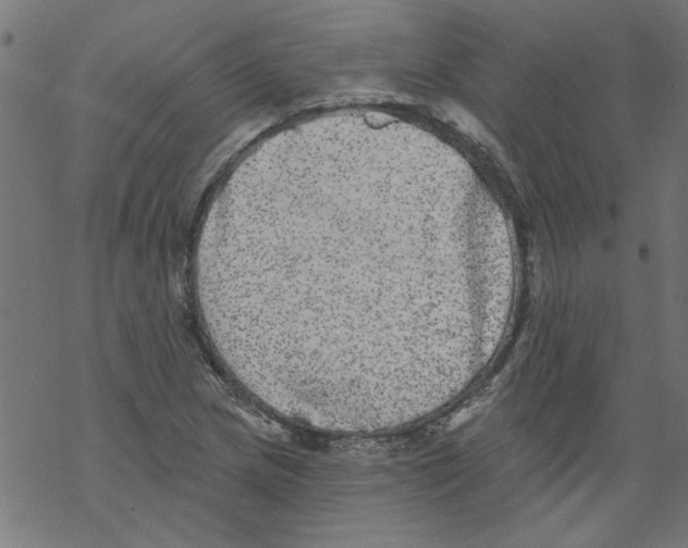 X0000067901217200605111908