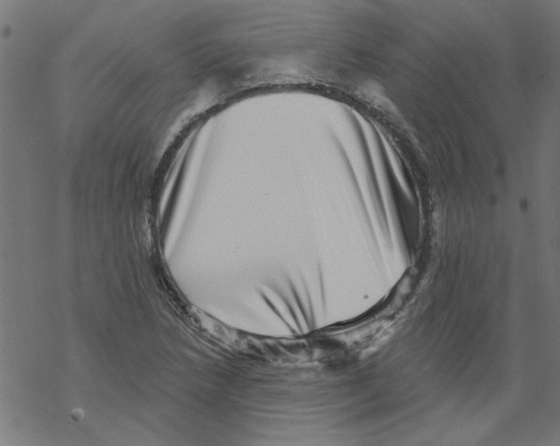 X0000067901218200605111908