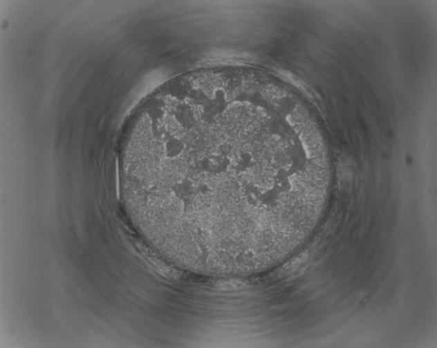 X0000067901219200605111908