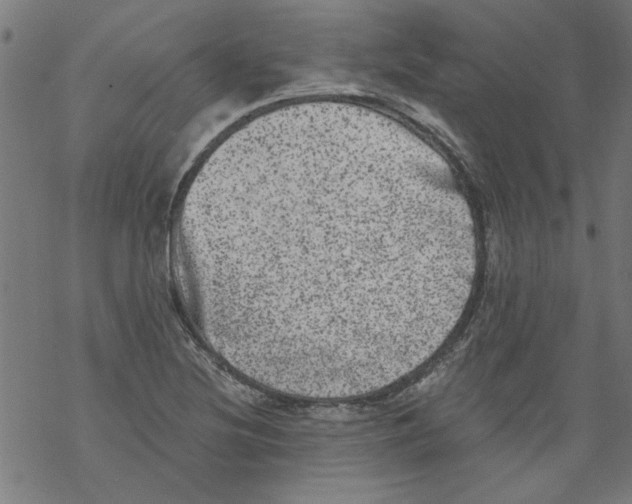 X0000067901220200605111908