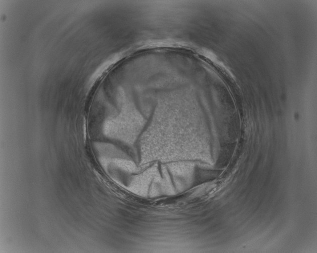 X0000067901221200605111908