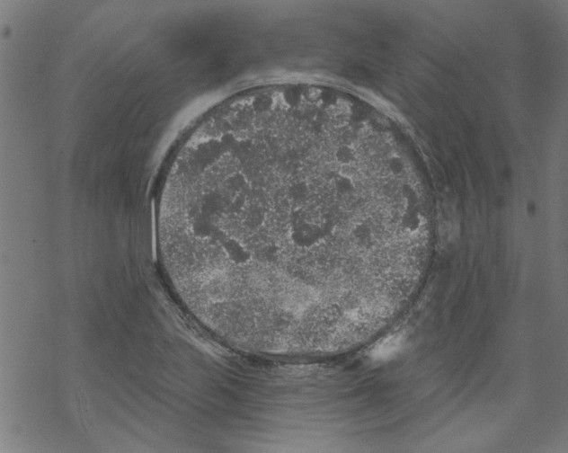 X0000067901223200605111908