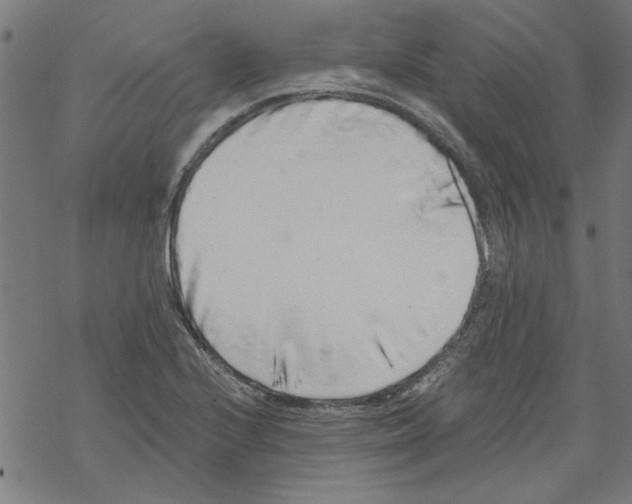 X0000067901224200605111909