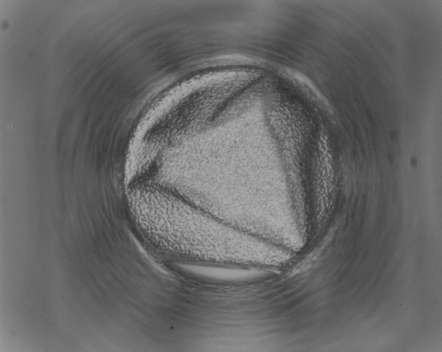 X0000067901225200605111909