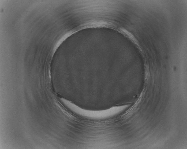 X0000067901226200605111909