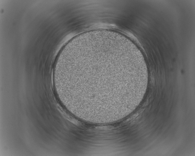 X0000067901227200605111909