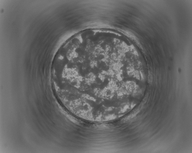 X0000067901231200605111909