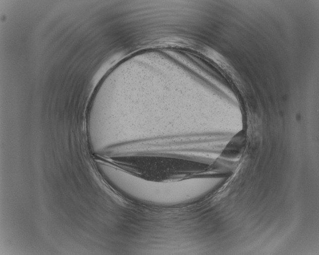 X0000067901234200605111909