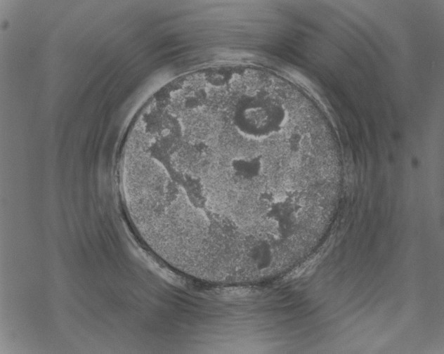 X0000067901235200605111909