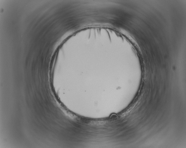 X0000067901237200605111909