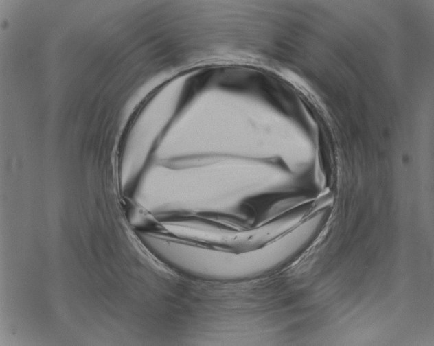 X0000067901238200605111909