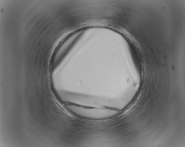 X0000067901240200605111909