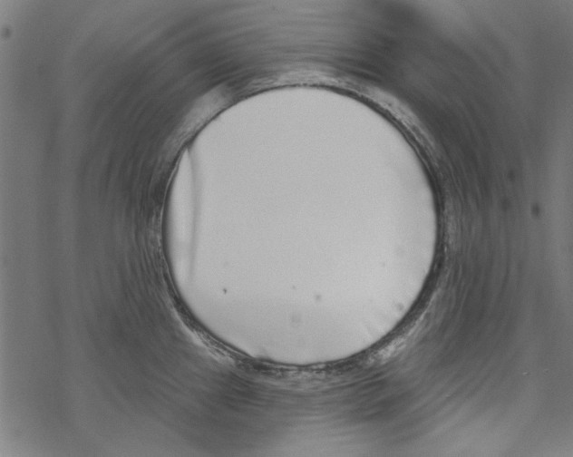 X0000067901241200605111909