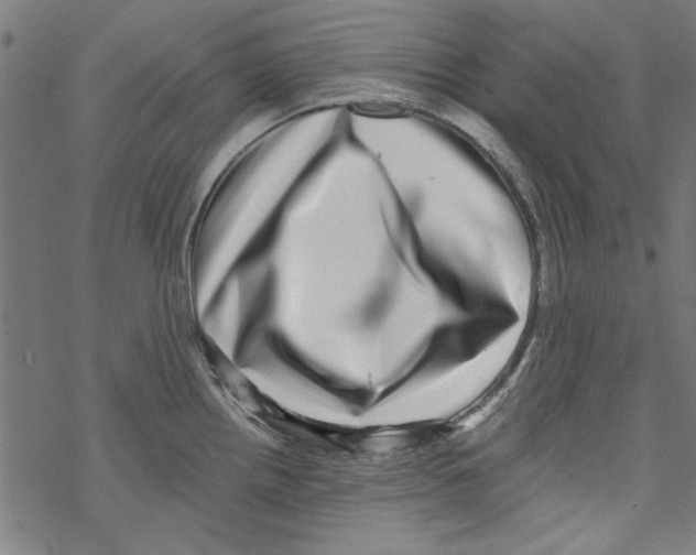 X0000067901242200605111909