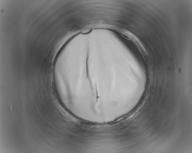 X0000067901244200605111909