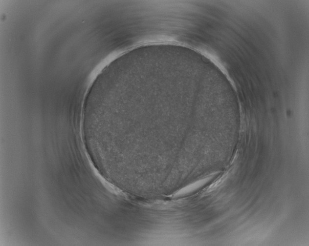 X0000067901245200605111909