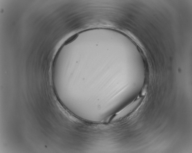 X0000067901246200605111909