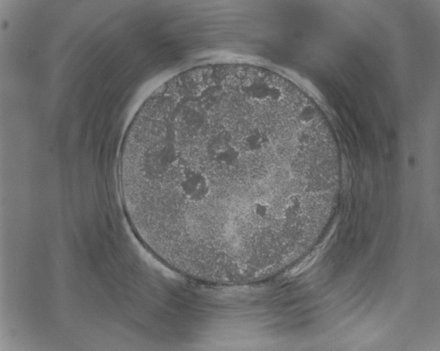 X0000067901247200605111909