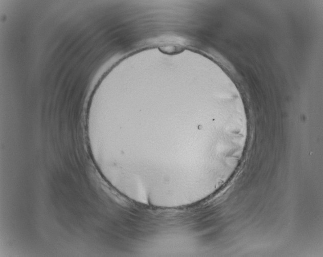 X0000067901248200605111909