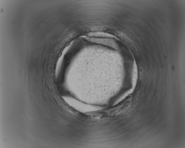 X0000067901249200605111908