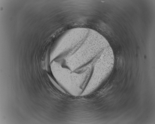 X0000067901250200605111908