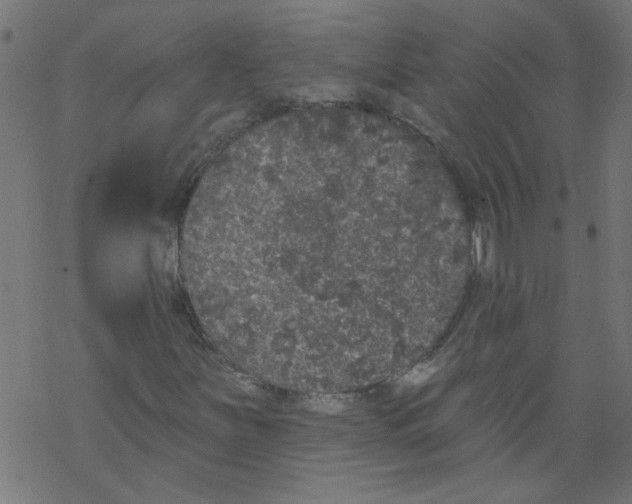 X0000067901251200605111908