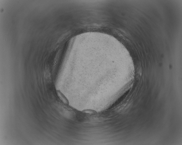 X0000067901252200605111908