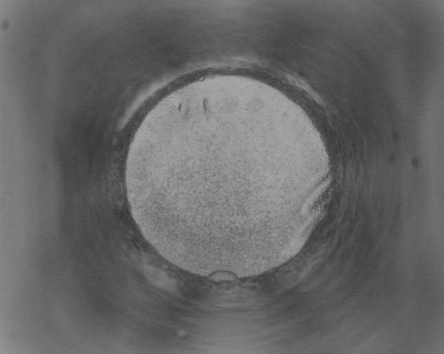 X0000067901256200605111908