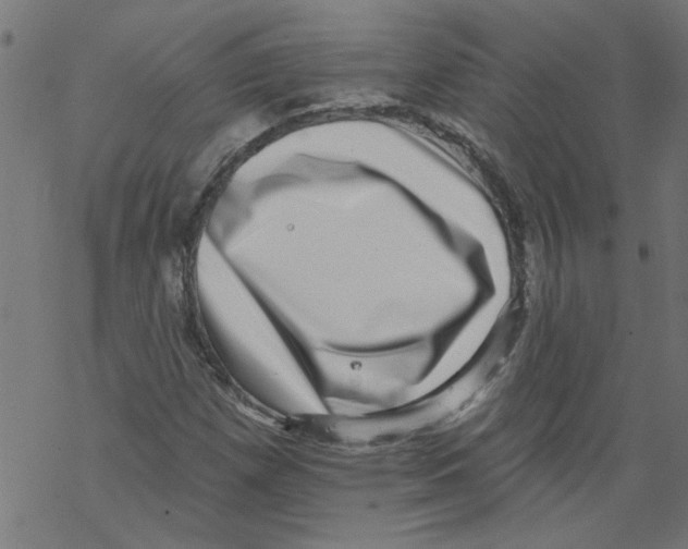 X0000067901257200605111908