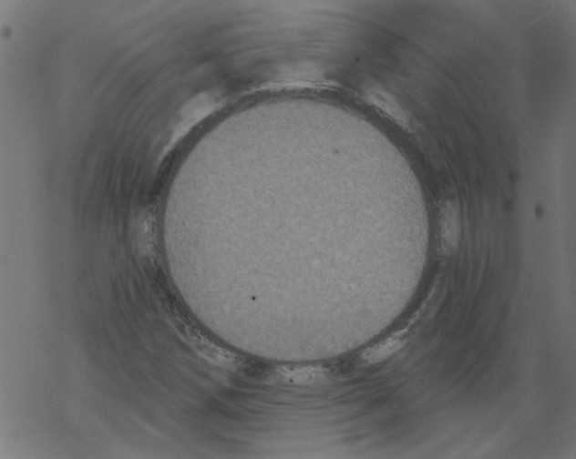 X0000067901258200605111908