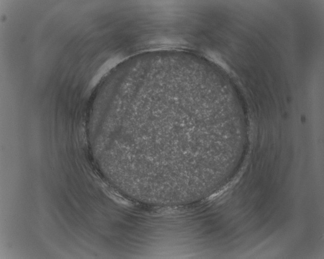 X0000067901259200605111908