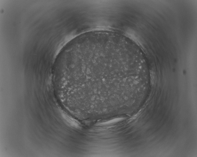 X0000067901260200605111908