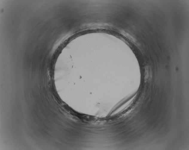 X0000067901261200605111908