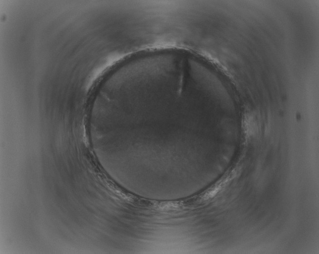 X0000067901262200605111908