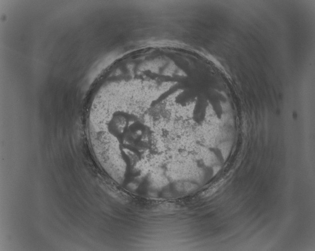 X0000067901263200605111908