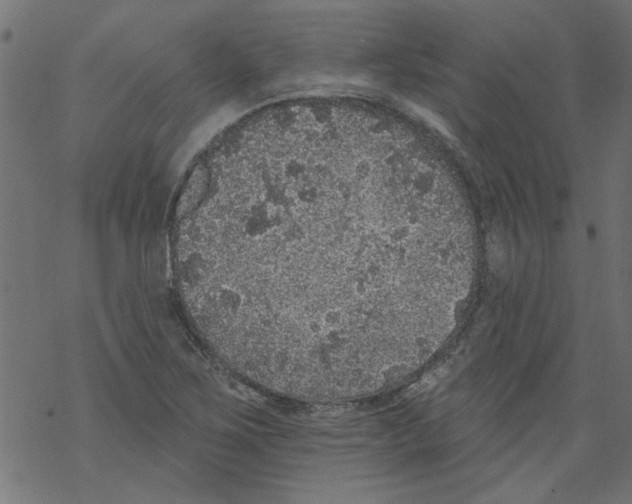 X0000067901267200605111908