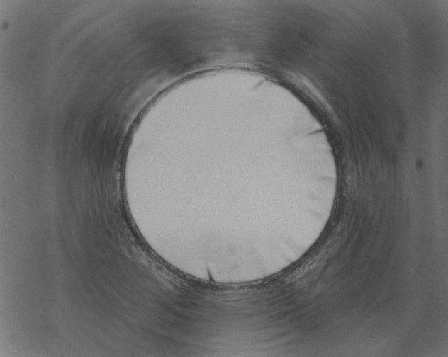 X0000067901268200605111908