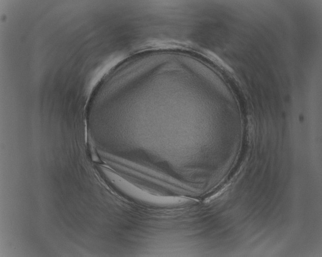 X0000067901269200605111908