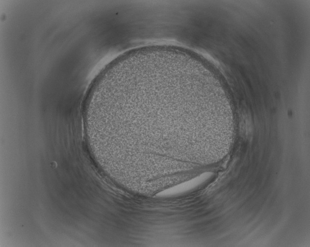 X0000067901271200605111908