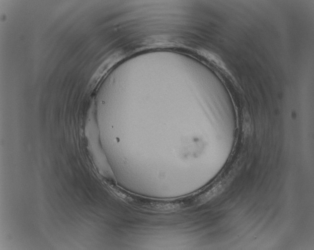 X0000067901273200605111908