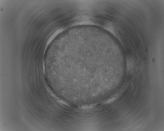 X0000067901274200605111908