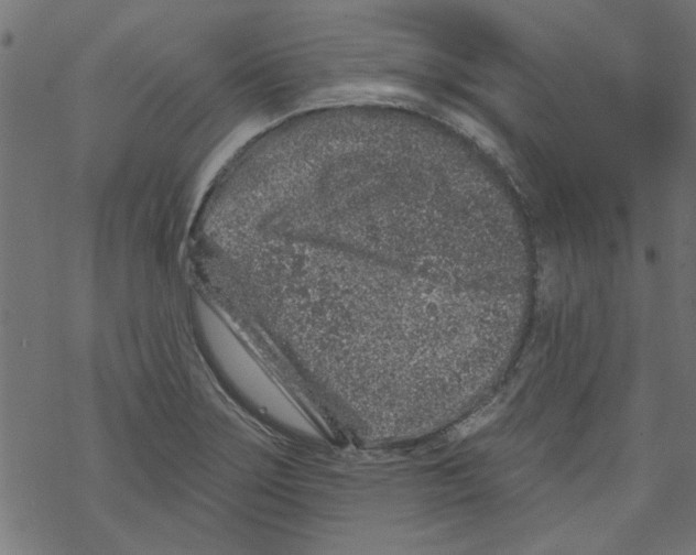 X0000067901275200605111908