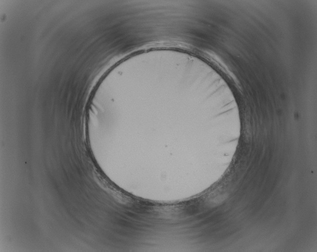 X0000067901276200605111908