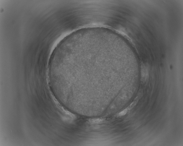 X0000067901278200605111908