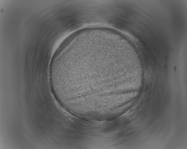 X0000067901279200605111908