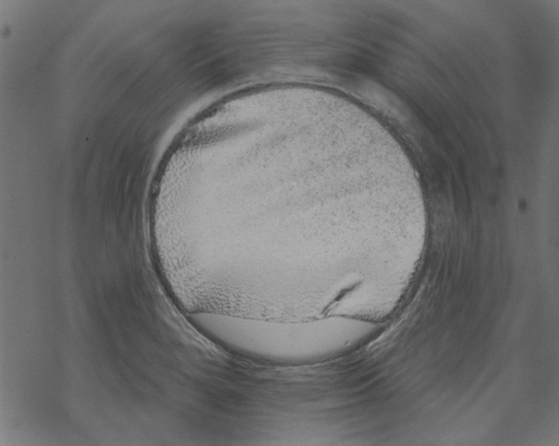 X0000067901280200605111908