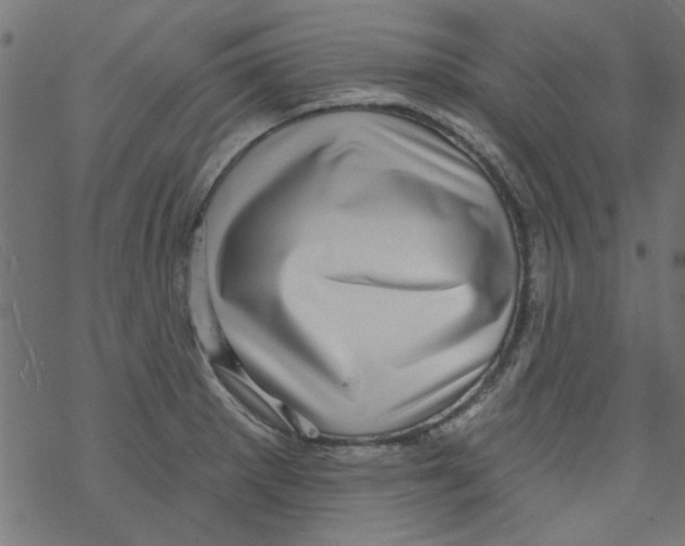 X0000067901281200605111908