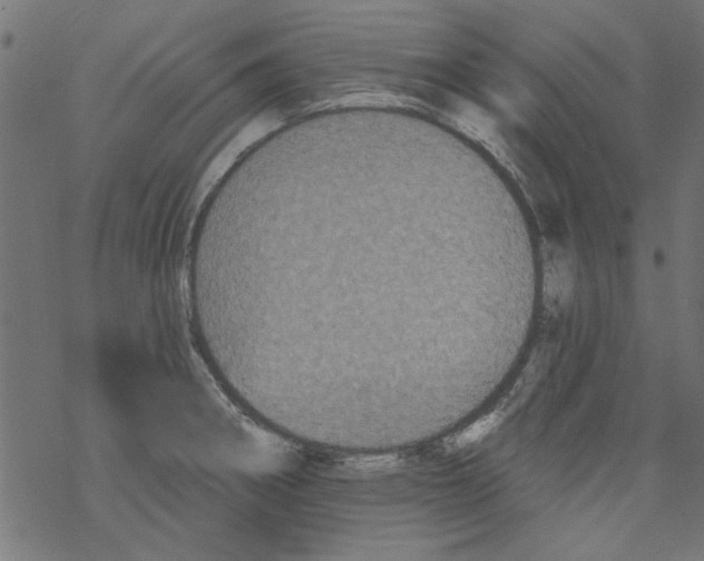 X0000067901282200605111908